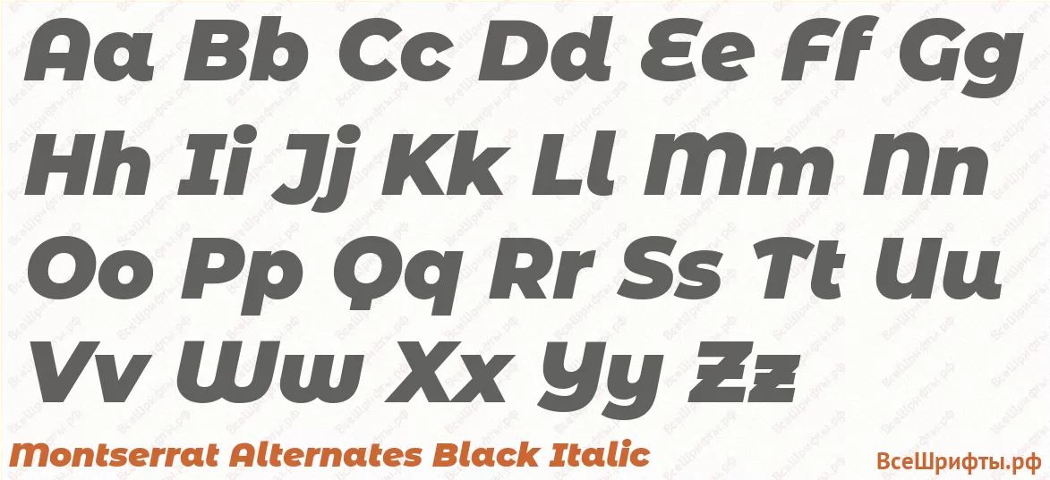 Шрифт Montserrat Alternates Black Italic с латинскими буквами
