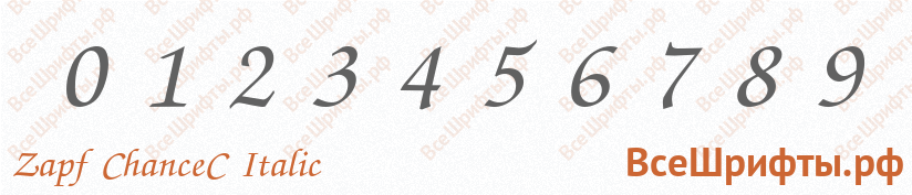 Шрифт Zapf ChanceC Italic с цифрами