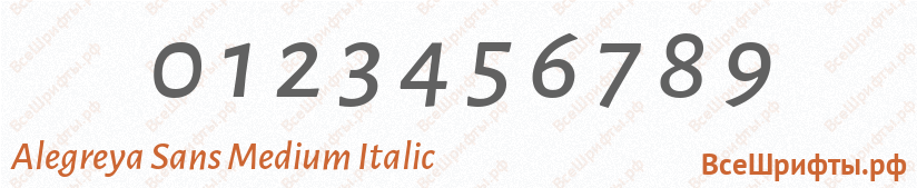 Шрифт Alegreya Sans Medium Italic с цифрами