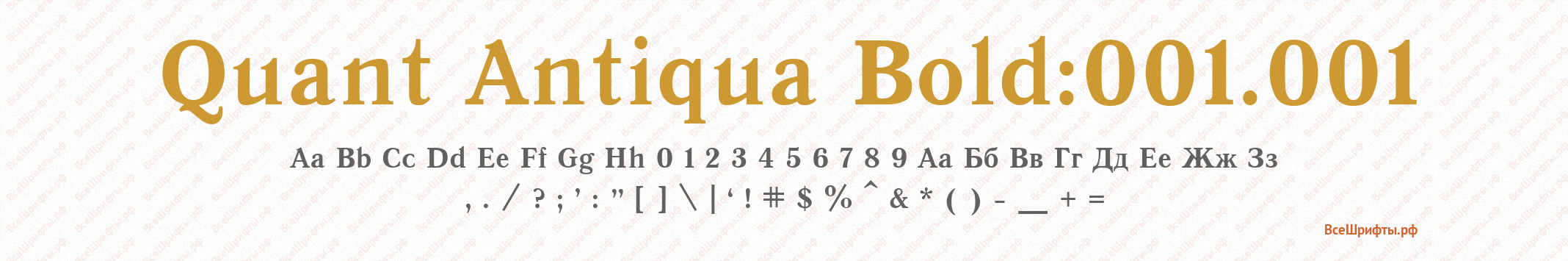 Шрифт Quant Antiqua Bold:001.001