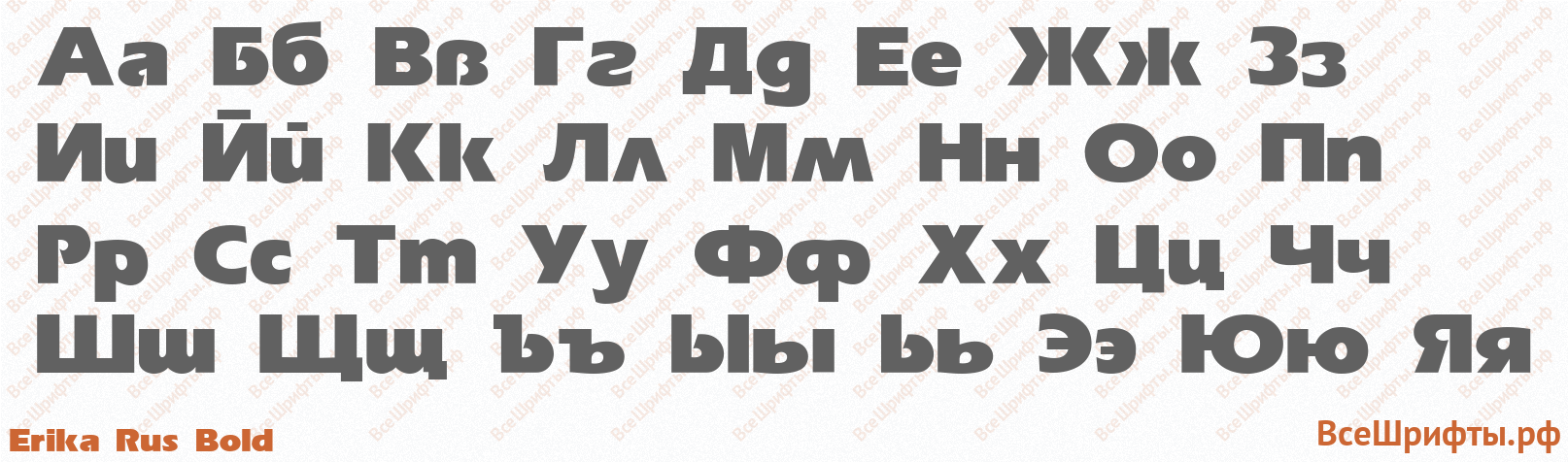 Шрифт Erika Rus Bold с русскими буквами
