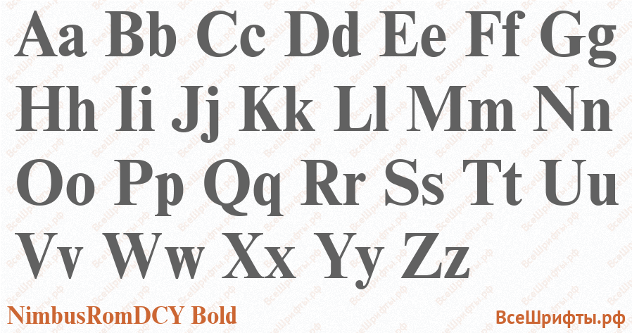 Шрифт NimbusRomDCY Bold с латинскими буквами