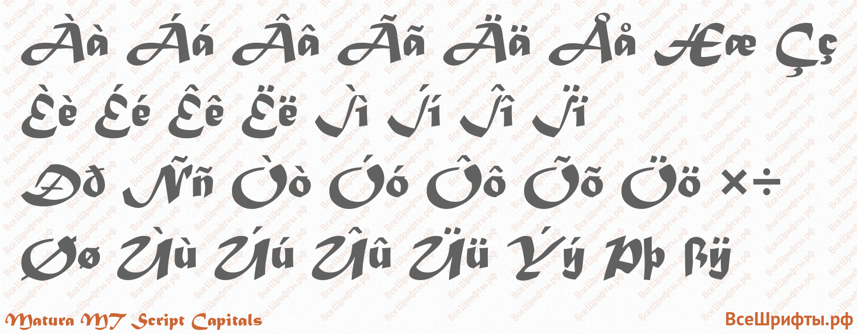 Шрифт Matura MT Script Capitals с русскими буквами