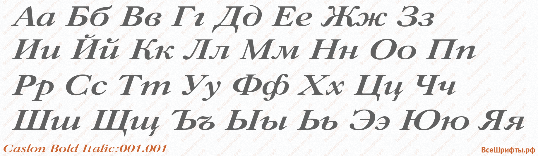 Шрифт Caslon Bold Italic:001.001 с русскими буквами