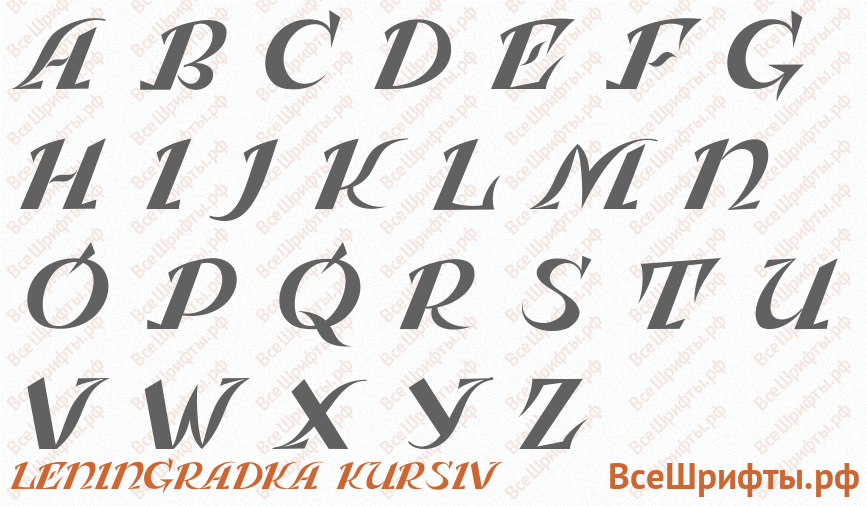Шрифт Leningradka Kursiv с латинскими буквами