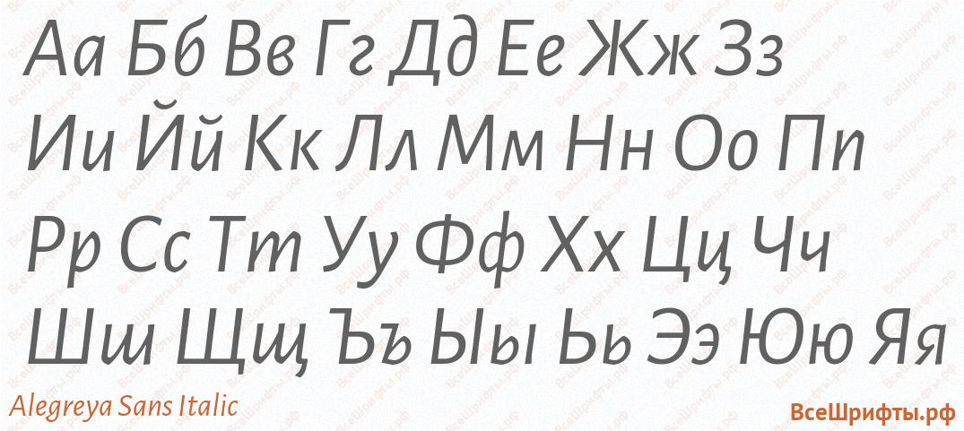 Шрифт Alegreya Sans Italic с русскими буквами