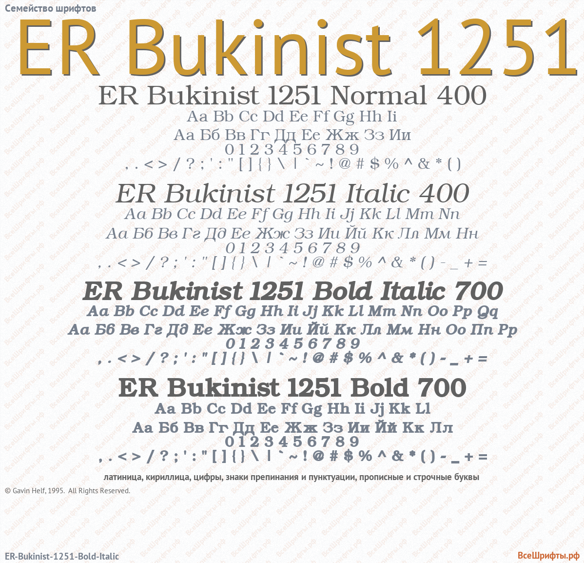 Семейство шрифтов ER Bukinist 1251