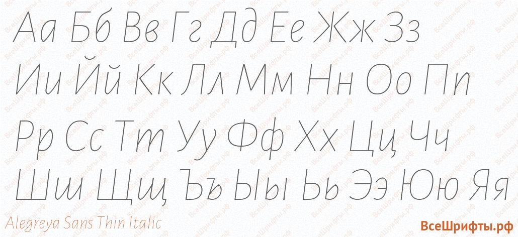 Шрифт Alegreya Sans Thin Italic с русскими буквами