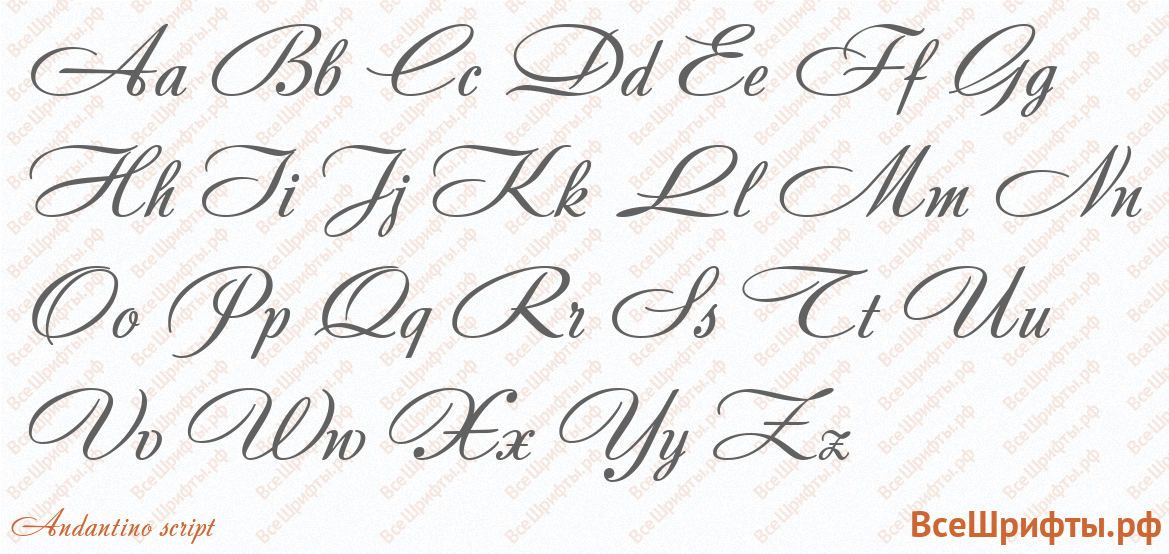 Шрифт Andantino script с латинскими буквами