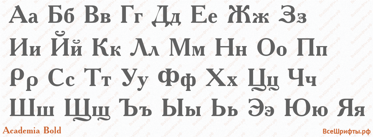 Шрифт Academia Bold с русскими буквами