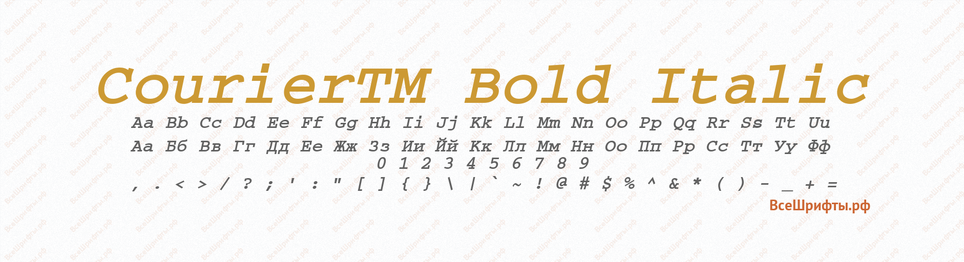 Шрифт CourierTM Bold Italic