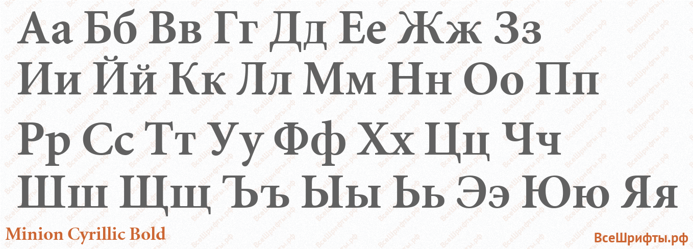 Шрифт Minion Cyrillic Bold с русскими буквами