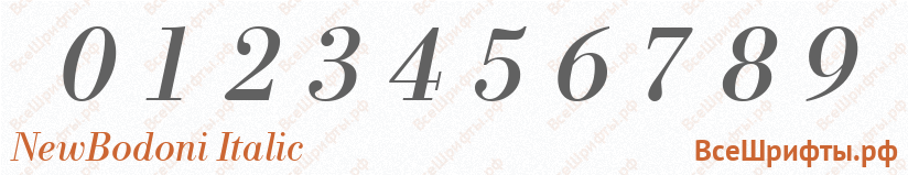 Шрифт NewBodoni Italic с цифрами