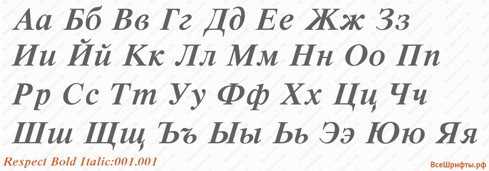 Шрифт Respect Bold Italic:001.001 с русскими буквами