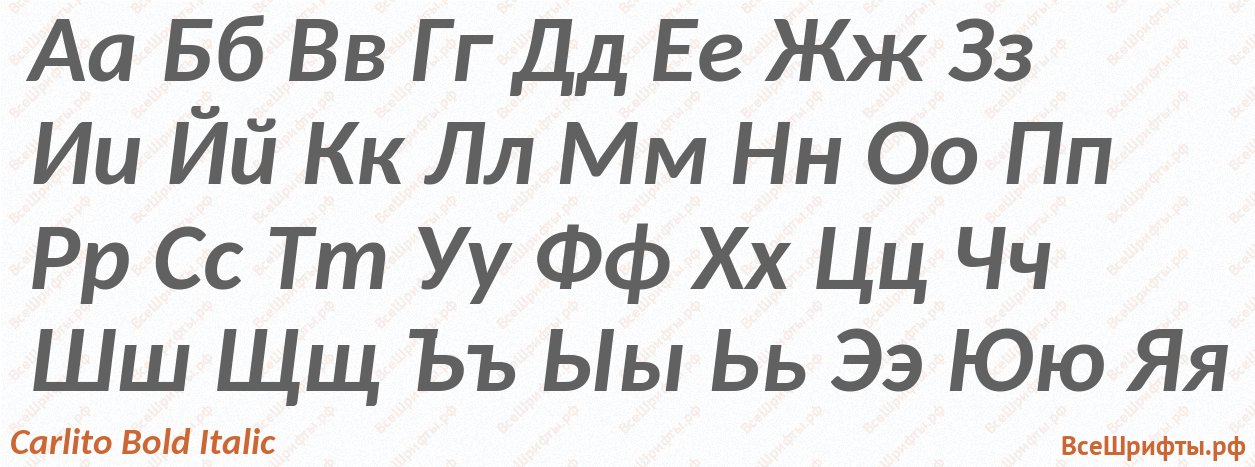 Шрифт Carlito Bold Italic с русскими буквами Шрифт Carlito Bold Italic с русскими буквами
