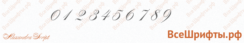 Шрифт Alexandra Script с цифрами