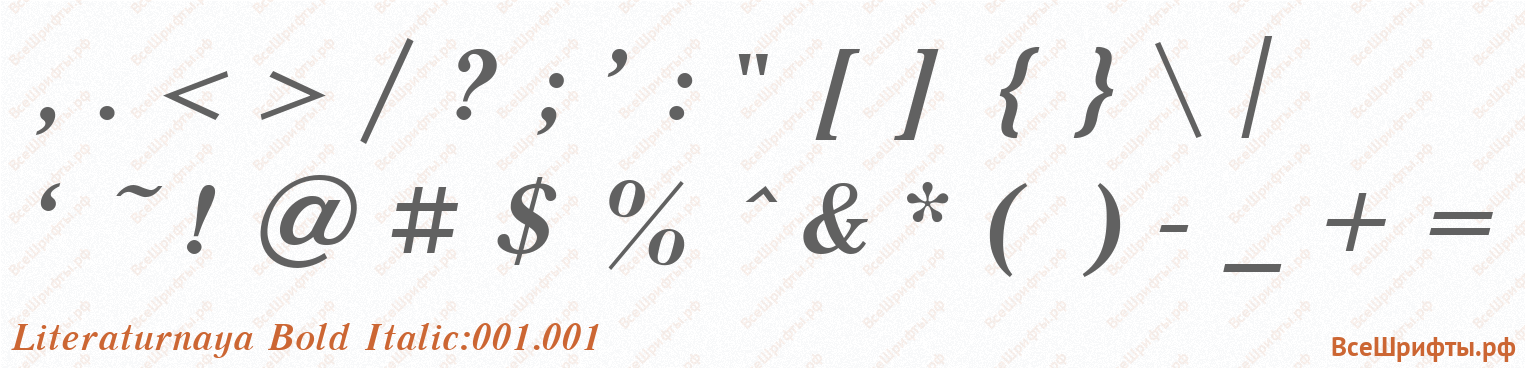 Шрифт Literaturnaya Bold Italic:001.001 со знаками препинания и пунктуации