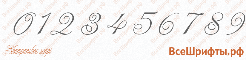 Шрифт Shampanskoe script с цифрами