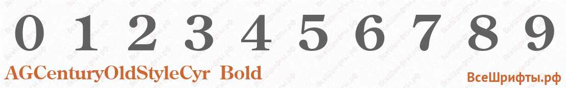 Шрифт AGCenturyOldStyleCyr Bold с цифрами