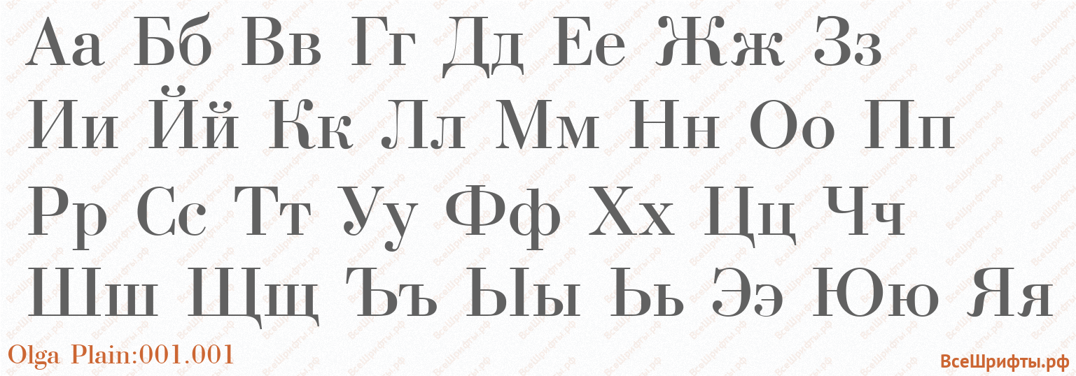 Шрифт Olga Plain:001.001 с русскими буквами