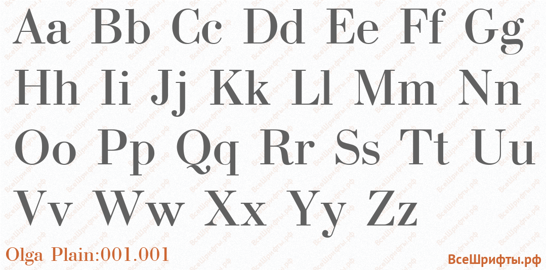 Шрифт Olga Plain:001.001 с латинскими буквами