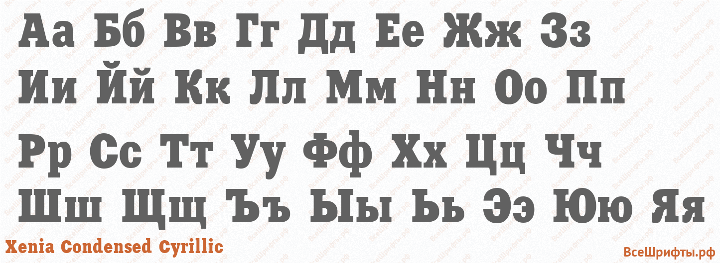 Шрифт Xenia Condensed Cyrillic с русскими буквами