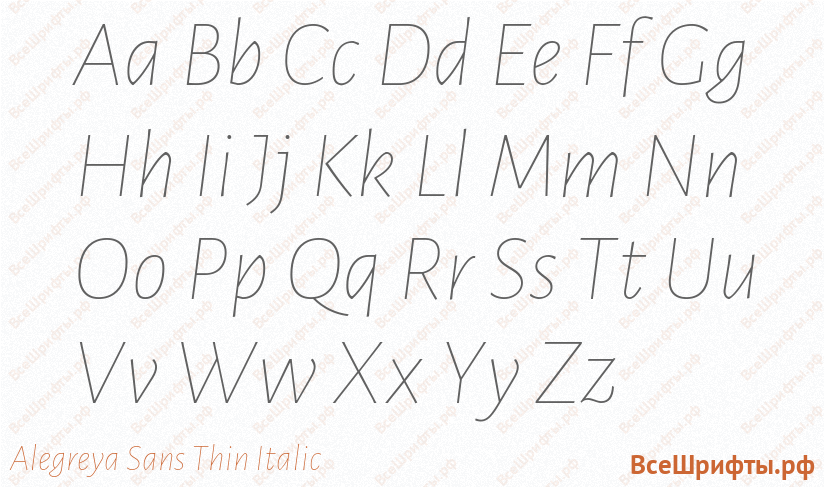 Шрифт Alegreya Sans Thin Italic с латинскими буквами