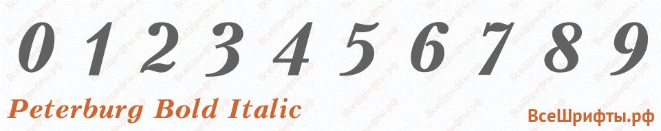 Шрифт Peterburg Bold Italic с цифрами
