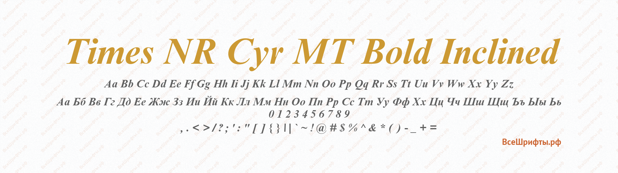 Шрифт Times NR Cyr MT Bold Inclined