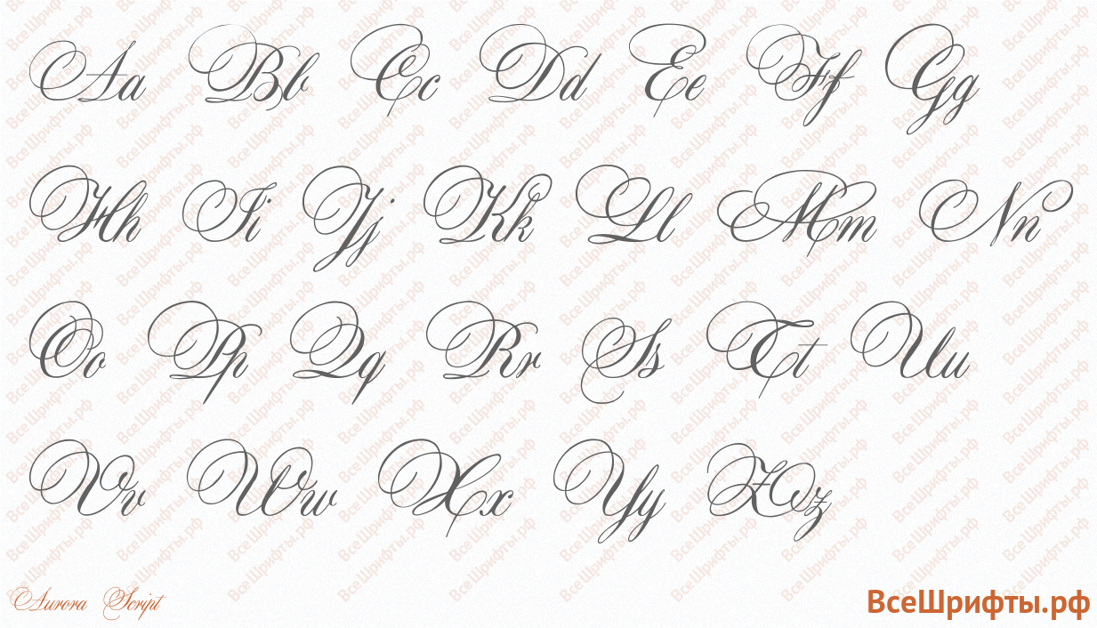 Шрифт Aurora Script с латинскими буквами