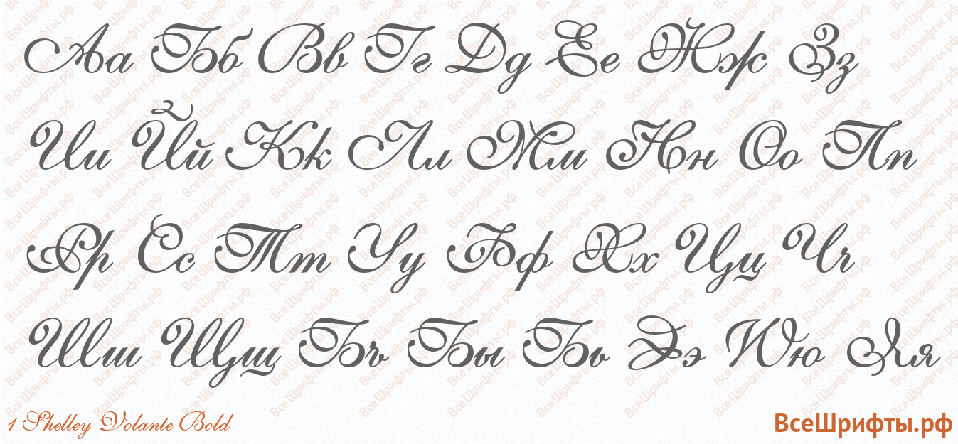 Шрифт 1 Shelley Volante Bold с русскими буквами