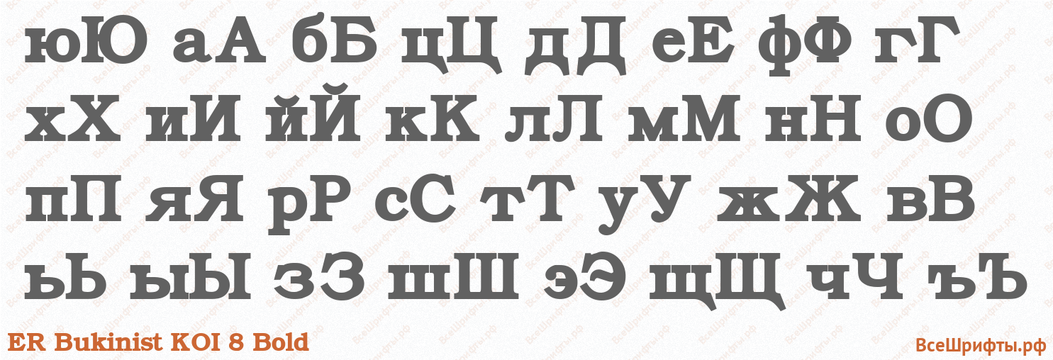 Шрифт ER Bukinist KOI 8 Bold с русскими буквами