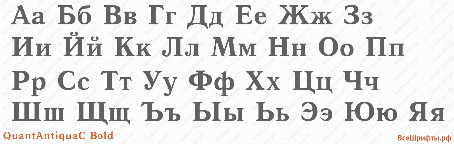 Шрифт QuantAntiquaC Bold с русскими буквами