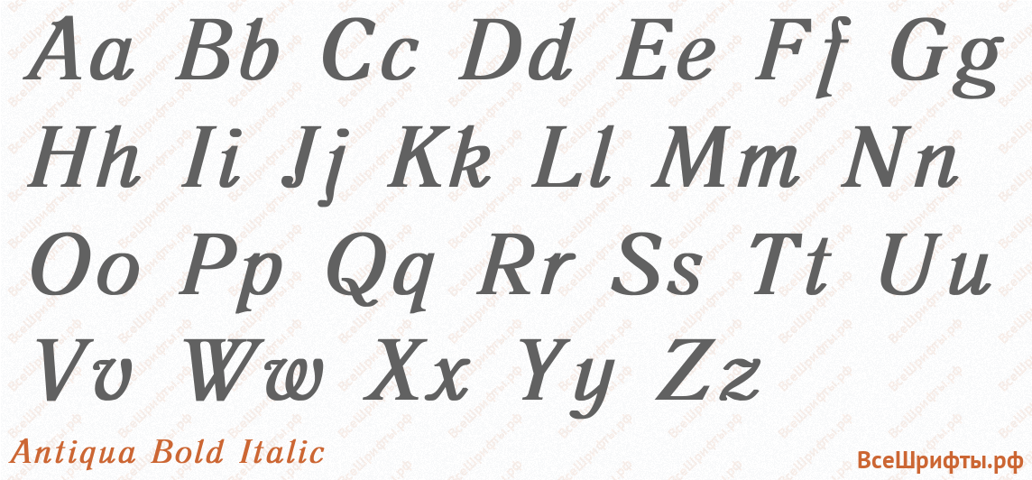 Шрифт Antiqua Bold Italic с латинскими буквами