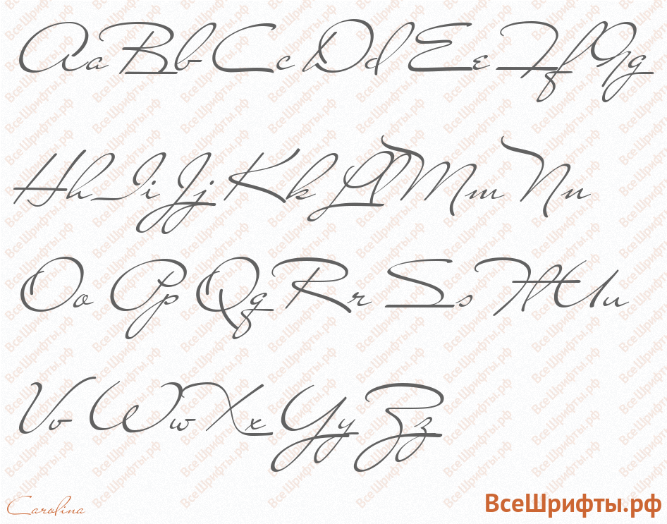 Шрифт Carolina с латинскими буквами