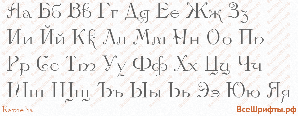 Шрифт Kamelia с русскими буквами