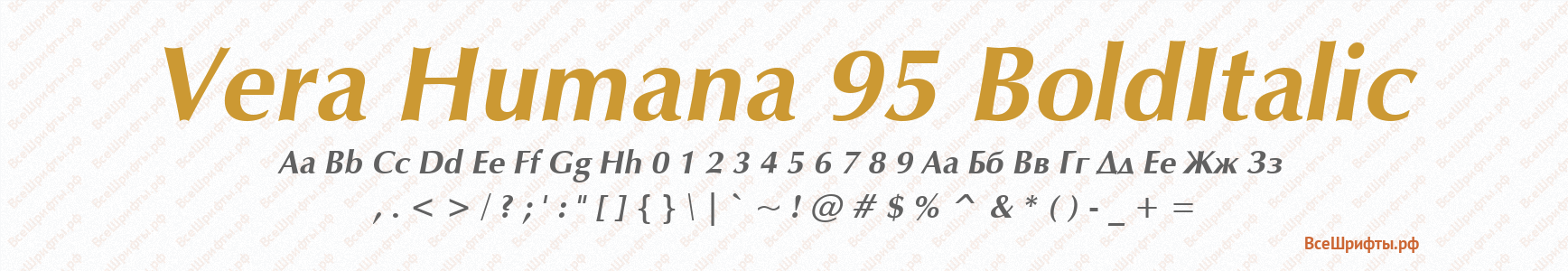 Шрифт Vera Humana 95 BoldItalic