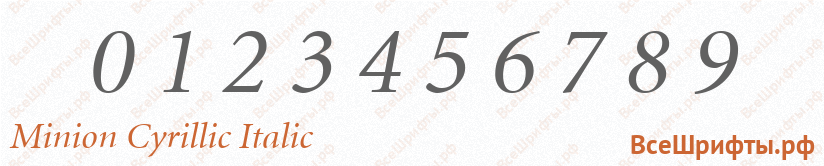 Шрифт Minion Cyrillic Italic с цифрами
