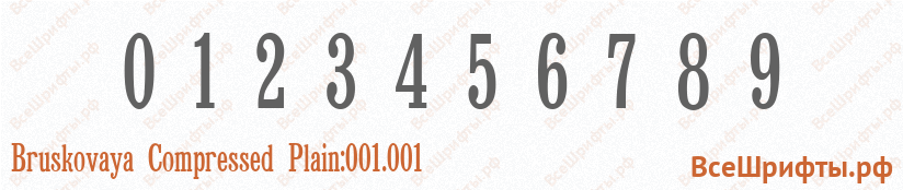 Шрифт Bruskovaya Compressed Plain:001.001 с цифрами