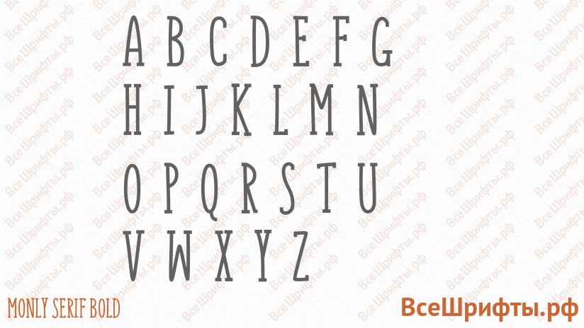 Шрифт Monly Serif Bold с латинскими буквами