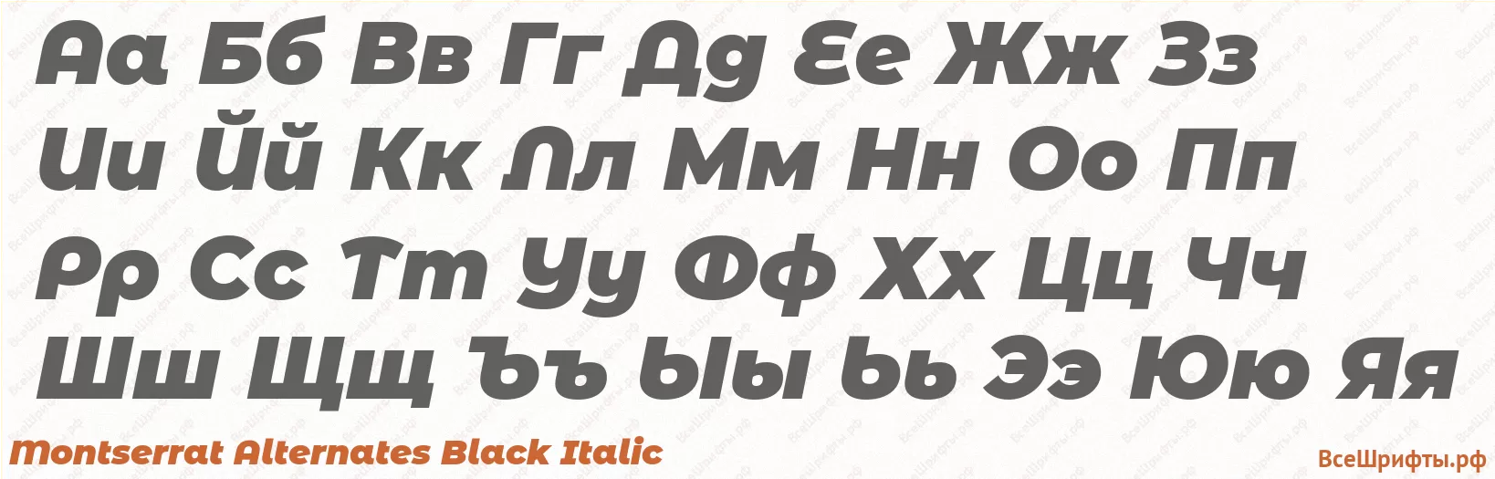 Шрифт Montserrat Alternates Black Italic с русскими буквами