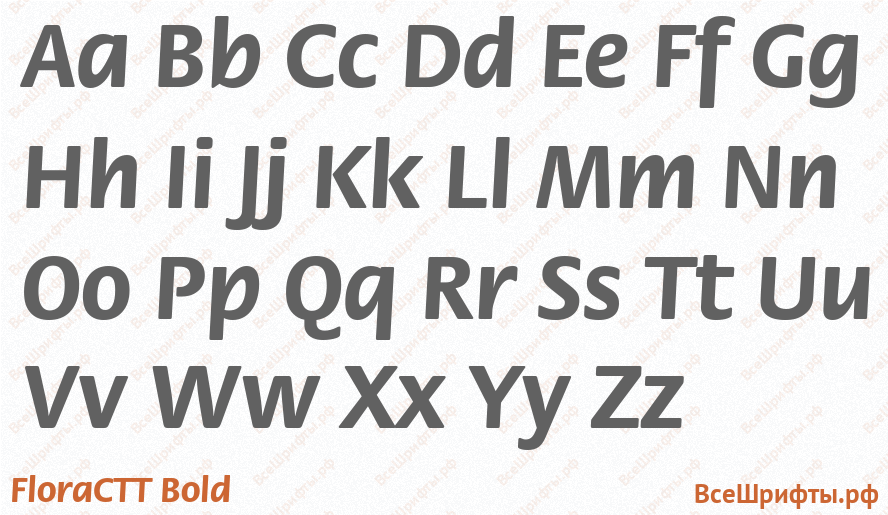 Шрифт FloraCTT Bold с латинскими буквами