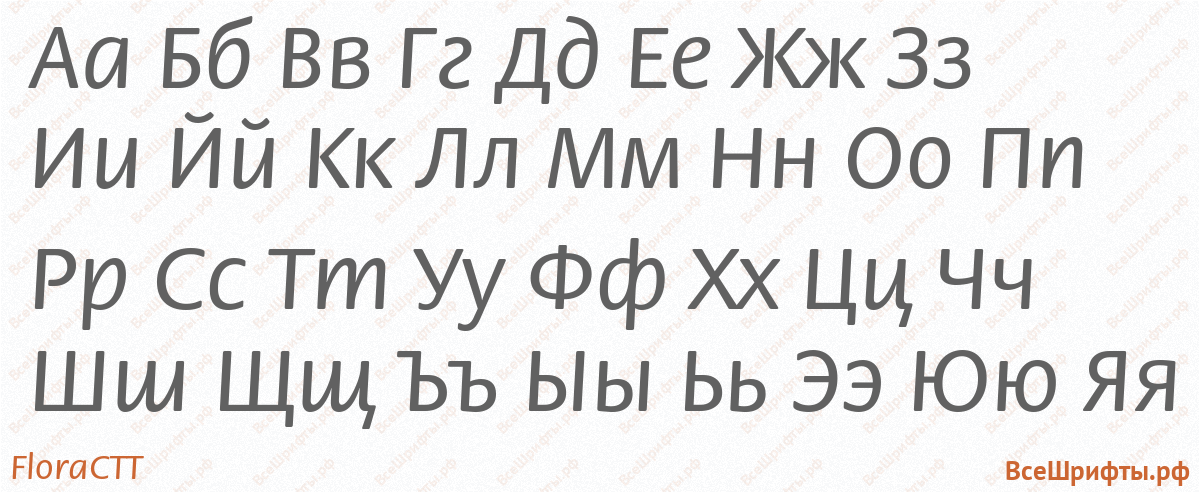 Шрифт FloraCTT с русскими буквами