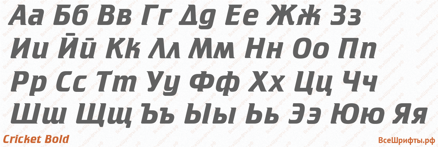 Шрифт Cricket Bold с русскими буквами