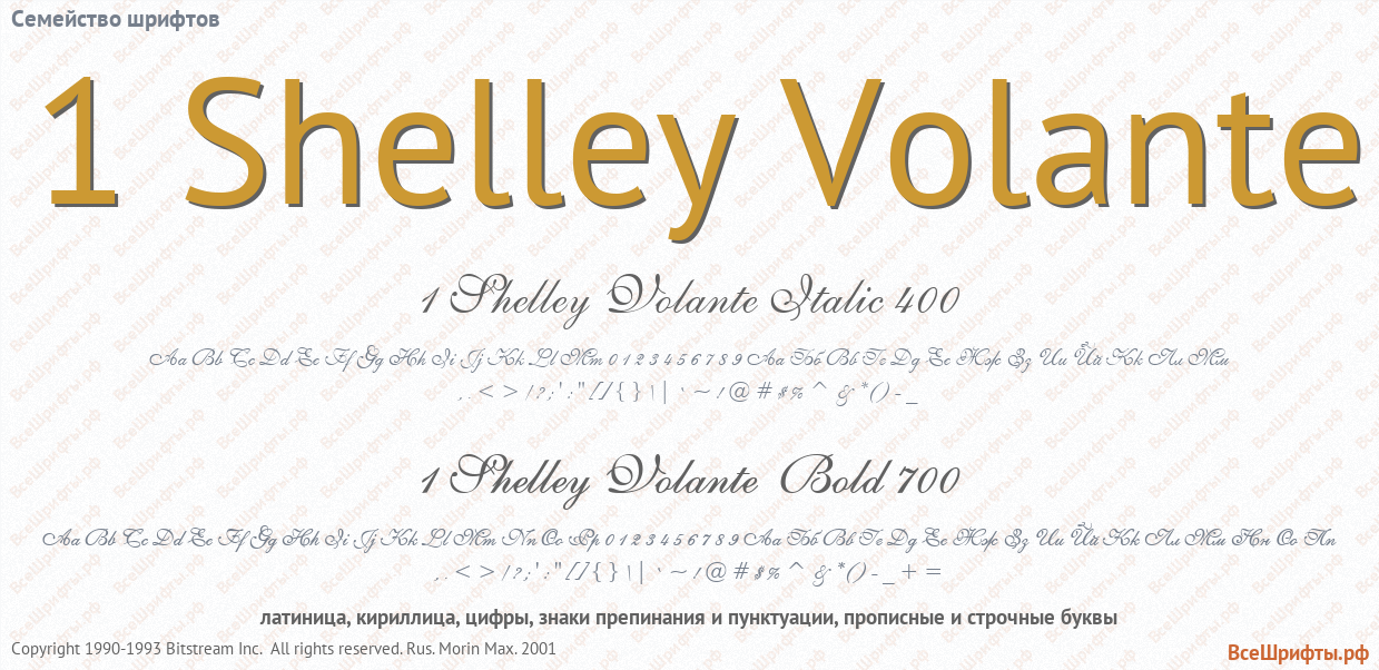 Семейство шрифтов 1 Shelley Volante