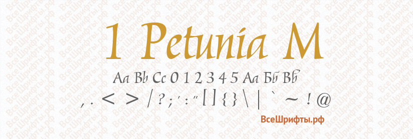 Шрифт 1 Petunia M