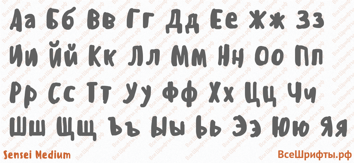 Шрифт Sensei Medium с русскими буквами