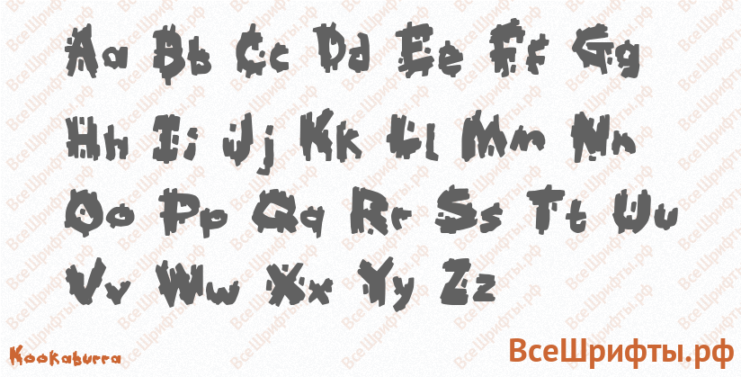 Шрифт Kookaburra с латинскими буквами