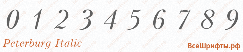 Шрифт Peterburg Italic с цифрами