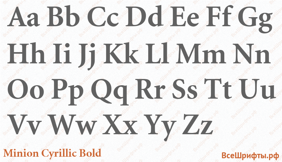 Шрифт Minion Cyrillic Bold с латинскими буквами